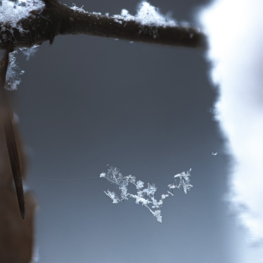 Platz 5 Conny Kleiner